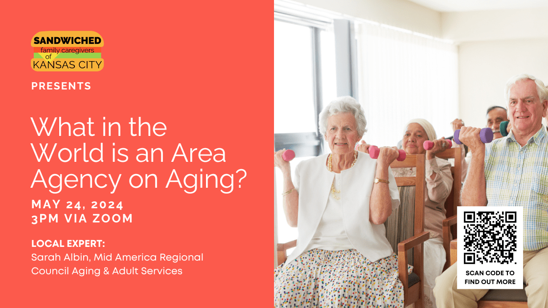 What in the World is an AAA webinar May 24 at 3pm