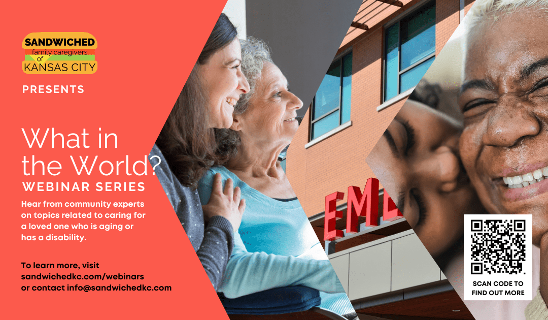 Introducing the What in the World Webinar Series