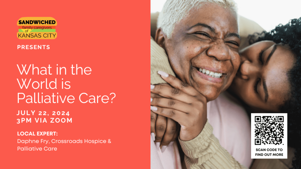 What in the World Webinar What in the World is Palliative care July 2024 zoom